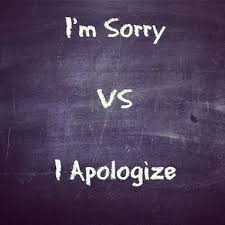 کاربرد و تفاوت apologize / sorry