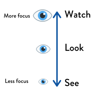 کاربرد و تفاوت بین See و Watch و Look
