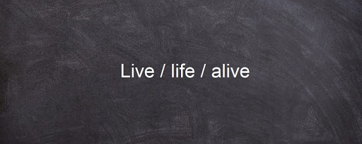 کاربرد و تفاوت alive / life / live