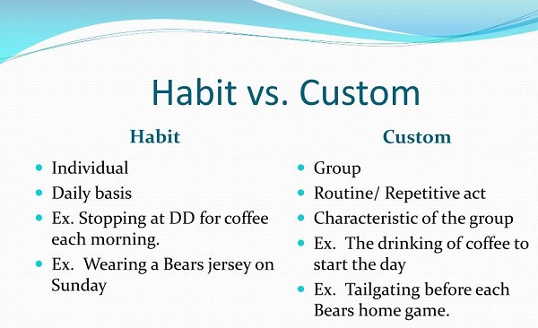 کاربرد و تفاوت Habit /Custom