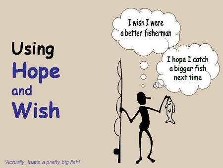 کاربرد و تفاوت hope / wish